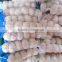 Chinese garlic 2015 crop