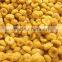Dried white fungus in natural color for sale