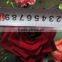 High grade fresh cut flower wholesale black magic 002 rose