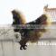 outdoor plastic wild animal model eagle toys
