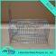Factory supply new model Eco-friendly Mouse Squirrel Trap