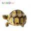 Nomo non-toxic super simulation cute hermann's tortoise model
