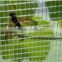 2016 hot sale Agricultural HDPE anti bee nets / anti hail netting /anti wind screen net mesh