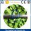 AGRICULTURE IRRIGATION FLAT DRIP PE PIPE MANUFACTURING LINE