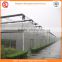 Agriculture equipment multi-span 10.8m plastic PO film greenhouse for sale