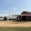  china DFX cheap poultry farming prefabricated industrial chicken house