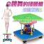Twister Exercise Platform Waist Slimmer Trimmer Muscle Health Fitness Home