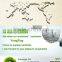 Aluminum free baking powder--Magic brand