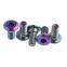 Titanium Motor Rear Brake Rainbow Rotor Bolt Screw M8 x 20mm GR5 Ti6Al4V Titanium Motor Rear Brake Rotor Bolt