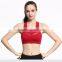 Fitness Sports Breathable Yoga Bra