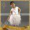 Fantastic Fairy Angel Party Dress