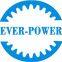 Ever-power Industry Pte. Ltd.
