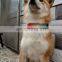 2020 NEW spring design colorful nylon High quality adjustable pet dog collar
