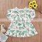 Kids Toddler Infant Baby Girl Cute dinosaur full print Dress long Sleeve Party Pageant Summer Causal Cotton Clothes