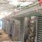 Layer Chicken Battery Cage Automatic Equipment