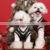 Popular Brand Cotton Outfits Warm Fashions Apparel Dresses Pet Dog Winter Clothes