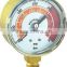 YJB-R-03 pressure gauge
