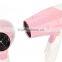 Portable 110V Travel Hair Dryer