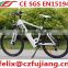hot sale 250W 500W electric bicycle e-bike lithium battery with rear suspension CE SGS EN15194(FJ-TDE08)