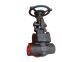 Compact ANSI Forged Globe Valve for Chemical Processing Plants With A182 F316L Seat Material