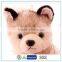 CE/ASTM standard realistic plush malamute puppy toy