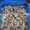 High Quality High Quality Dried Boletus Mushroom in Yunnan