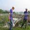 Gasoline Lavender Harvesting Machine