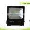 Hot Sales CE/RoHS Approval, IP66 Waterproof Outdoor With Low Price LED SMD Floodlight 100W