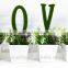 Latest Beautiful original table decoration mini plant mini potted plants