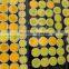 Epistar Bridgelux COB LED chip round high bright RA>85