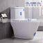 One Piece Sanitary Ware Siphonic Antique Portable Toilet