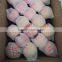 Chinese Fresh Red Juicy Fuji Apple for export/import