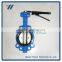 Good Market Extended Weld for Powder Butterfly Valve