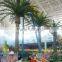 Artificial Tree For Palm Tree Large Landscape Tree Date Palm Customized Date Palm Tree Phoenix Dactylifera