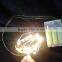 indoor and outdoor manufacture battery operated branches lights