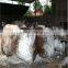 Hot sale industrial top quality magnesium chloride anhydrous good price