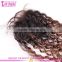 Grade 8a brazilian human virgin hair bundles with lace closure cheap ombre hair extension lace closure