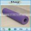 Custom printed fitness eco friendly tpe anti slip folding travel yoga mat