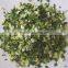 Dehydrated Leek 1-3mm 3*3mm,5*5mm,8*8mm,10*10mm