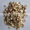 Dehydrated Mushroom Flakes 3*3mm,5*5mm,8*8mm,12*12mm