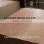 high quality bintangor plywood 2.5mm/3.6mm/4.6mm