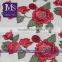 Embroidered Flowers Applique Embroidery Net Allover Lace Fabric for Evening Dress