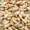 sunflower kernels from factory sunflower seeds organic sunflower seeds kernels