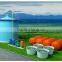 Quality guaranteed competitive price PUXIN biogas storage balloon
