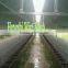 welded chicken cage wire mesh