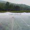 Bird Mist Net
