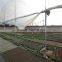 Agricultural Greenhouses Type commercial hydroponics greenhouse