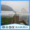 PE Mesh Covered Greenhouse