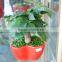 Wholesale cheap colorful love shape plastic flower pots