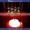 indoor led illuminated furniture wineglass shelf,illuminated wineglass shelf